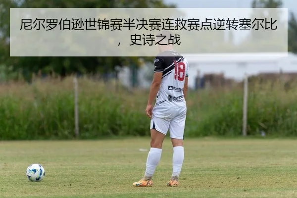 尼尔罗伯逊世锦赛半决赛连救赛点逆转塞尔比，史诗之战